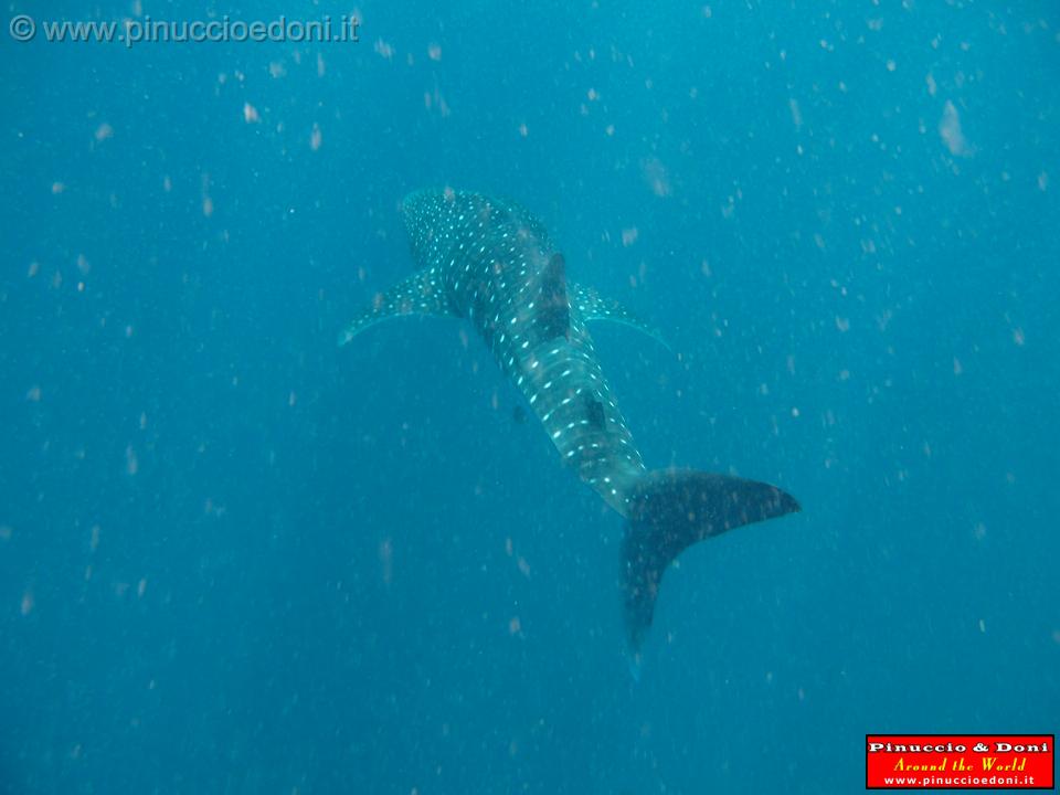 Djibouti - 365.jpg